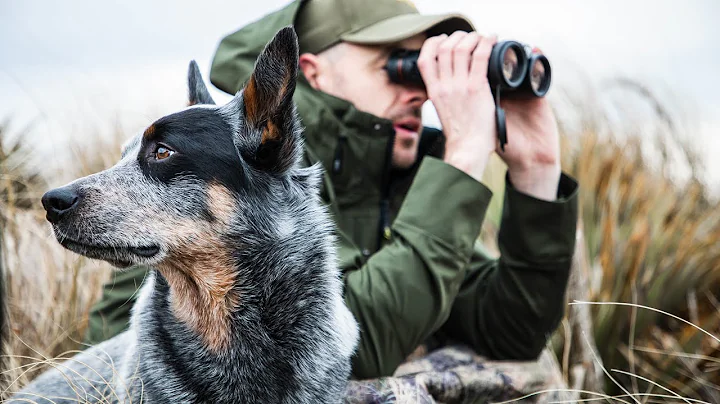 Mark & Flint: Deer stalking with a big game indica...