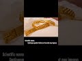 #india wearing bangles