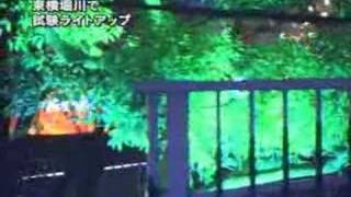 東横堀川ライトアップニュース