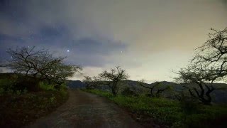 石龜梅園~烏松崙山秘境
