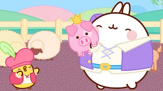 Molang and Piu Piu Help The KING PIG   | Funny Compilation For Kids