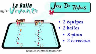 Règle du jeu de la Balle vivante jeu de relais sportif pour enfant screenshot 5
