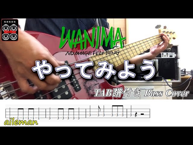 やってみようWANIMA