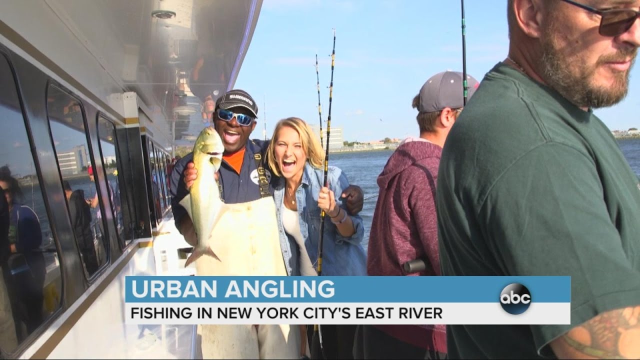 Urban Angling Fishing on the East River ABC News YouTube