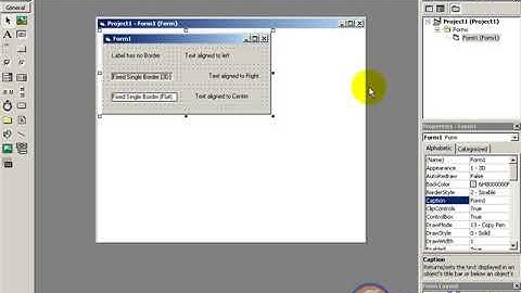 17 label properties    -   Visual Basic