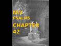 PSALMS(NIV), CHAPTER 42