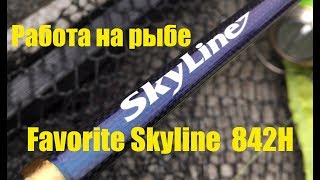 Favorite Skyline  842H а работе + промокод на скидку