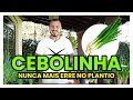 COMO PLANTAR CEBOLINHA DO JEITO CERTO EM VASOS | DICAS COM MURILO SOARES | SPAGNHOL PLANTAS