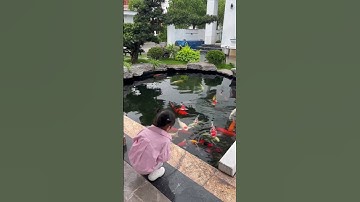 Bé cho cá ăn gì thế! #nguyenanhnang #bna #anhduong #yeube