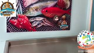 تشكيلة سمك محلات مسمكة السويسي الجمعة ١٥-٥-٢٠٢٠
