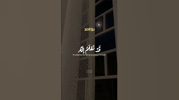 ما تيسر من سورة الأنعام ❤️‍🩹 #القرآن_الكريم #اكسبلور #قران #قرآن #quran #reels #islam