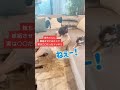 嫁ちゃんに嫉妬させてみたくて…実は〇〇だったドッキリ#Shorts