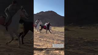 دعاء الثبات على الخيل