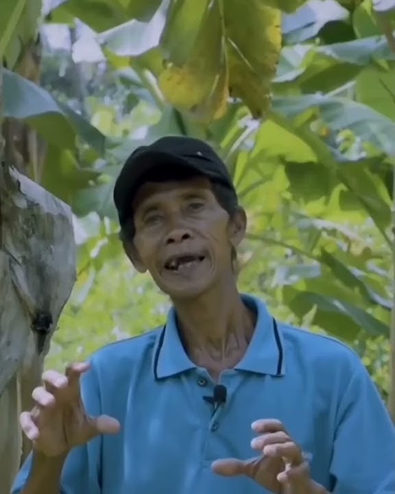 MODAL USAHA 3M CRIPING PISANG MEMELIHARA TUYUL