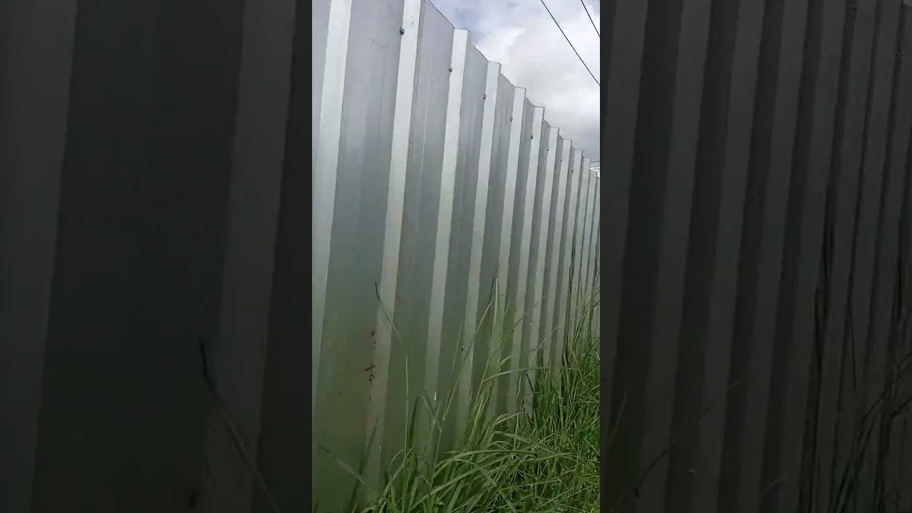 Yarra dehomes season 3 episode 19 