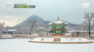 유홍준 교수가 알려주는 검소하지만 누추하지 않고, 화려하지만 사치스럽지 않은 경복궁의 디테일들 #highlight #벌거벗은한국사 EP.108