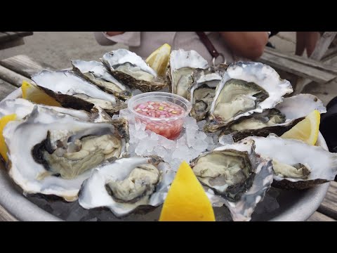 Whitstable Seafood Day-out