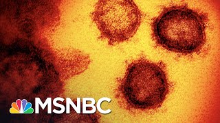 Test Backlogs And Hospitals Nearly Full In States Where COVID-19 Surges | The 11th Hour | MSNBC