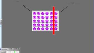 Distributive Property Picture Arrays