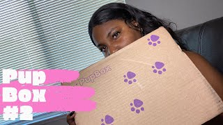 Monthly Pupbox Review