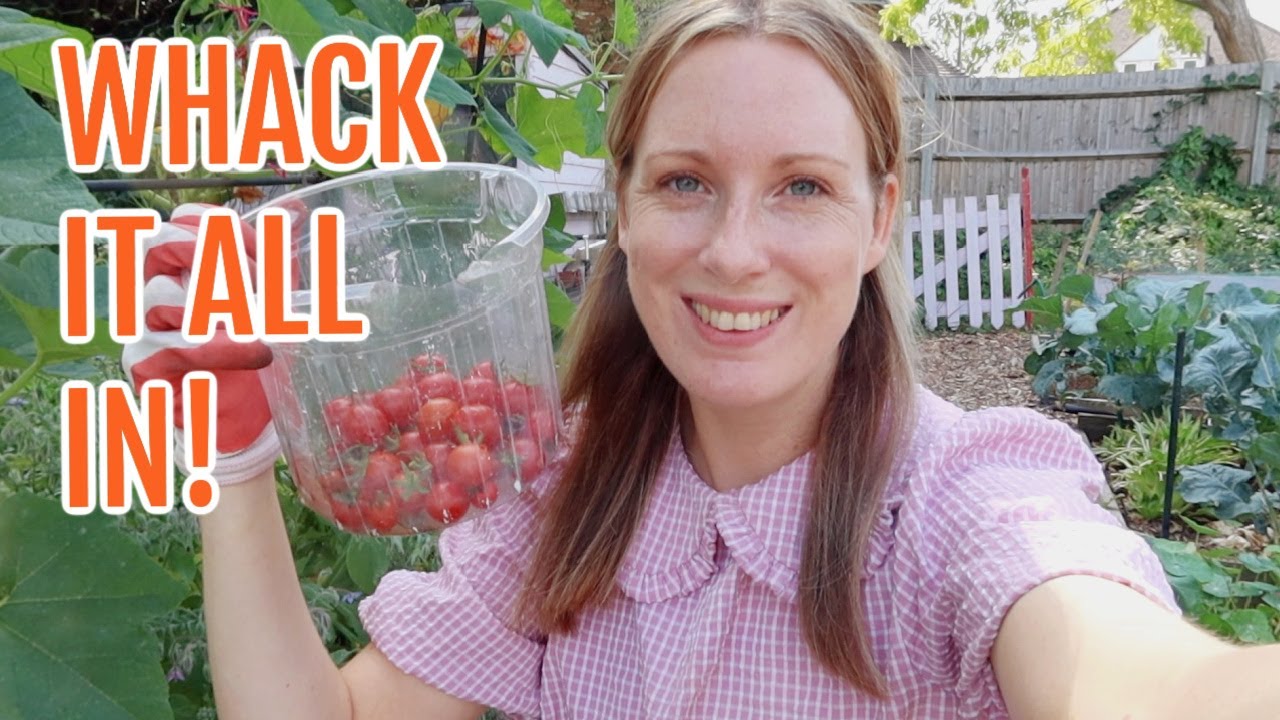 WHACKING IT ALL IN! / AUGUST 2022 / EMMA'S ALLOTMENT GARDEN