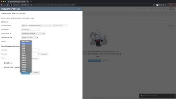 How to Install WordPress Using Plesk