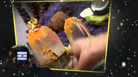 lakshman video editor demo