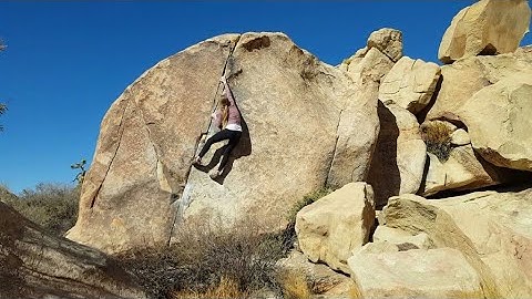 Classic Thin Crack** (V2) Flash - Joshua Tree