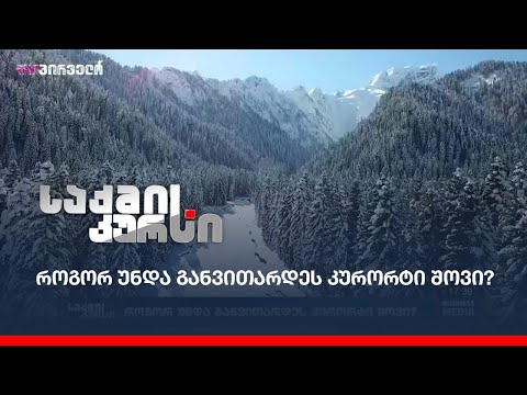 როგორ უნდა განვითარდეს კურორტი შოვი?