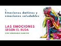 Emociones dañinas y emociones saludables  - "Las Emociones Según el Buda 1"