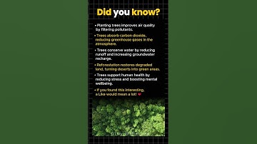 How Planting Trees Can Save Our Planet