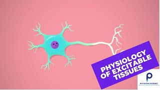 Physiology of excitable tissues