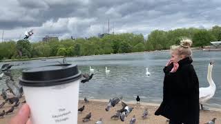 هزاع البلوشي اجمل صوت في العالم صوت من السماء مع المناظر الطبيعية الخلابة والشلالات تصويري 2019 screenshot 4