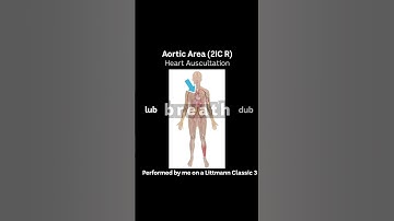 Auscultation sounds with the Littmann Classic III