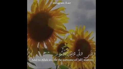 لمن يبحث عن الراحة النفسية/ قرآن كريم بصوت اسلام  صبحي/حالات واتس دينية