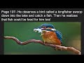 Survival Skills and Observations in Nature