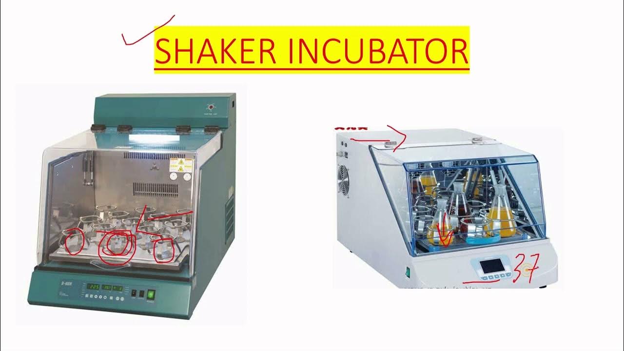 SHAKER INCUBATOR USE IN MICROBIOLOGY LAB IN HINDI YouTube