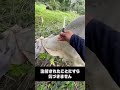 注射を打つ際の裏技
