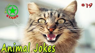 Animal Jokes 🐶 🐒 🐼 Funny Dogs Cute Cats Amazing Pets Funny Jokes 2020 №19 by Animal Stars 1,046 views 3 years ago 5 minutes, 9 seconds