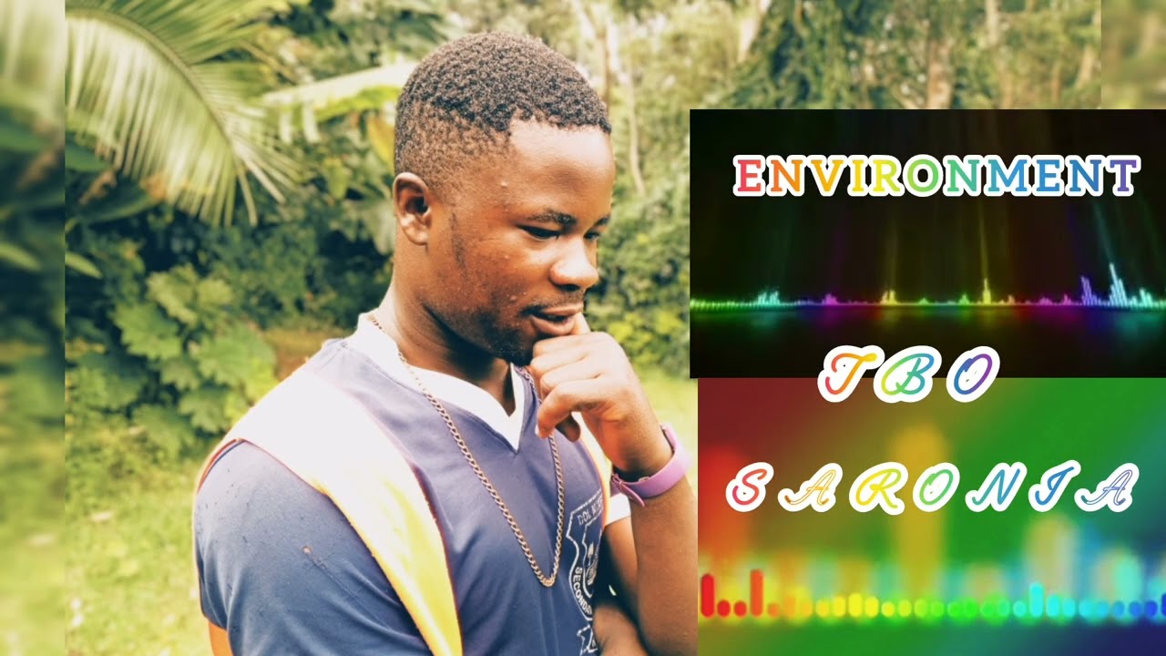 ENVIRONMENT BY SARONIA (official audio)