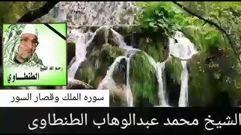 من التسجيلات النادره للشيخ محمد عبدالوهاب الطنطاوى سوره الملك وقصار السور رووووعه