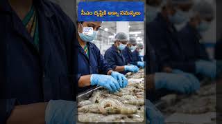Aqua Farmers Not Getting Fair Prices? MLC Somu Veerraju Reacts | Fishery News Telugu
