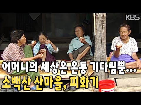 <strong>소백산</strong> 깊은 산마을, 피화기 [KBS 20080914 방송]