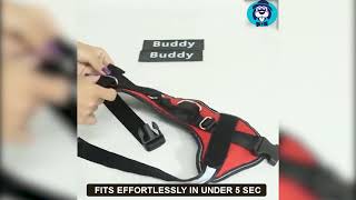 Personalized No Pull Dog Harness | PetSwag Instructions