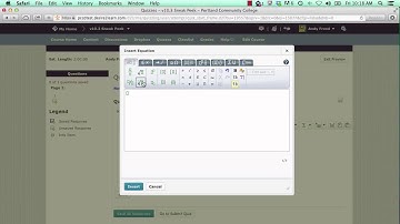 D2L 10.3: Equation Editor