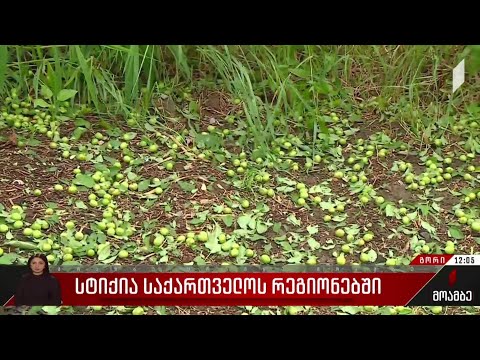 სტიქია საქართველოს რეგიონებში