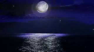 I'm Sorry | John Denver (432Hz) 1975 Lyrics on Screen