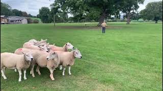 4 October 2022 by Ruthin Farmers 325 views 1 year ago 4 minutes, 12 seconds