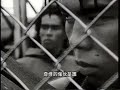 B☆Kool バカばっか〜んな奴ァだーれ (Baka Bakka)