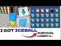 Who is most rich in bloxdio survival lobby 1  bloxdio